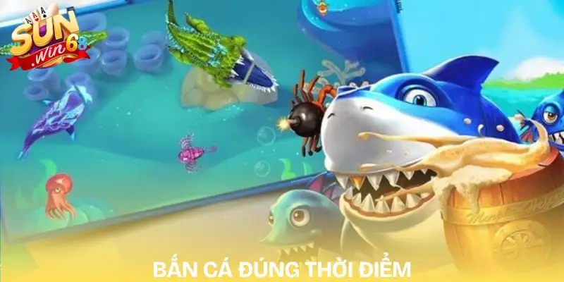 meo-ban-ca-hieu-qua-ban-ngay-khi-ca-vua-ra-khoi-ban